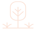 Contemplation paths