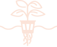 Organic Garden