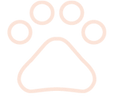 Pets park