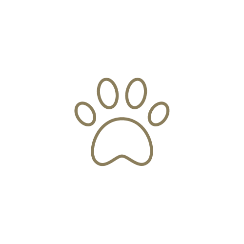 Pet Park